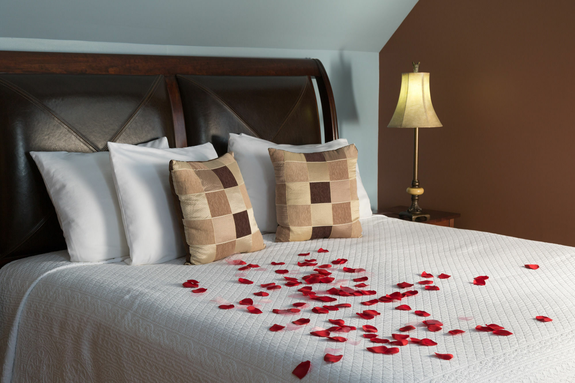 واينزبورو Iris Inn & Cabins المظهر الخارجي الصورة